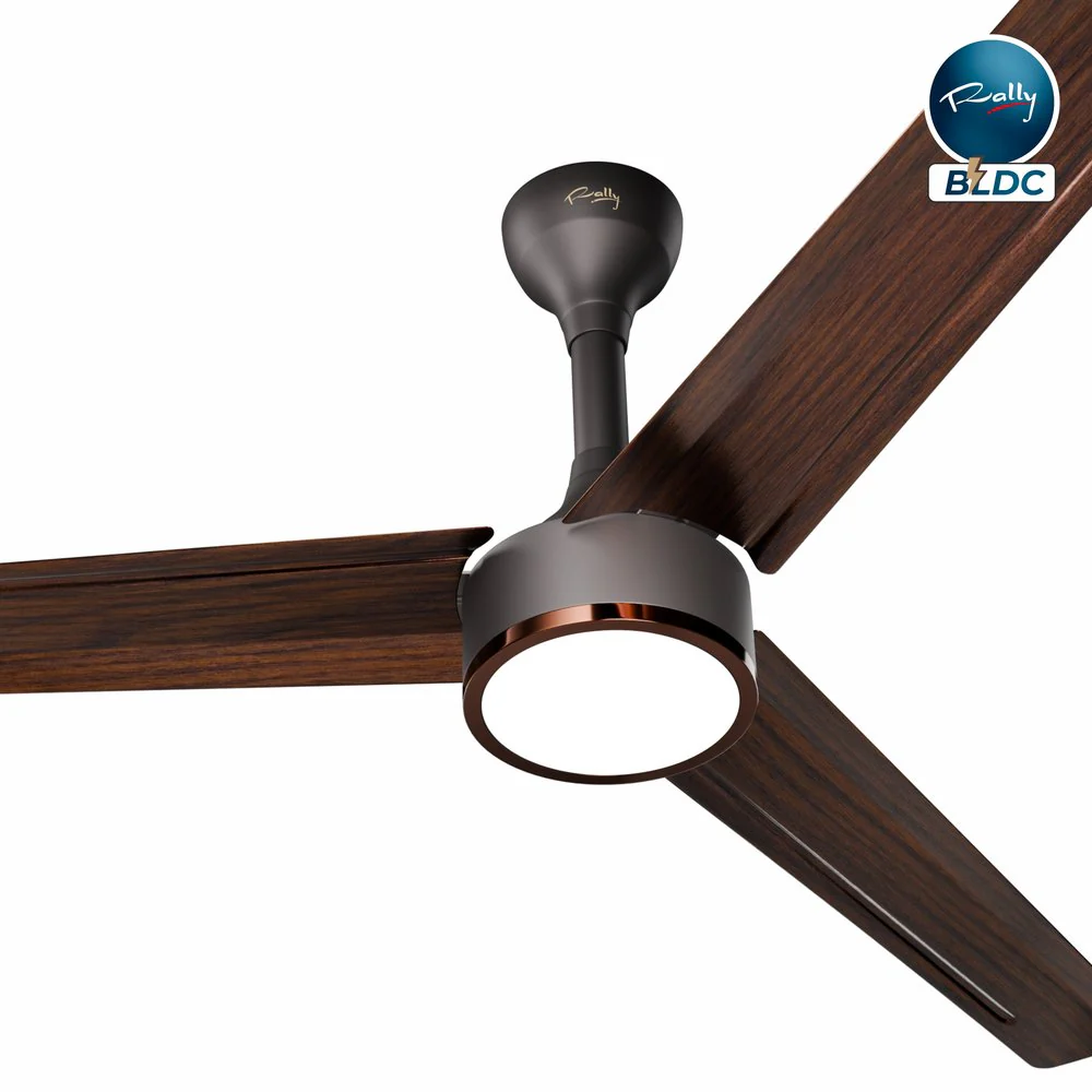 BLDC Fan